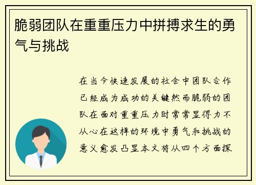 脆弱团队在重重压力中拼搏求生的勇气与挑战
