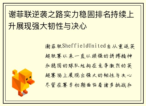 谢菲联逆袭之路实力稳固排名持续上升展现强大韧性与决心