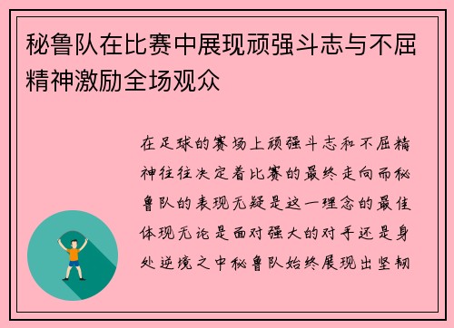 秘鲁队在比赛中展现顽强斗志与不屈精神激励全场观众